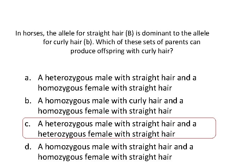 In horses, the allele for straight hair (B) is dominant to the allele for