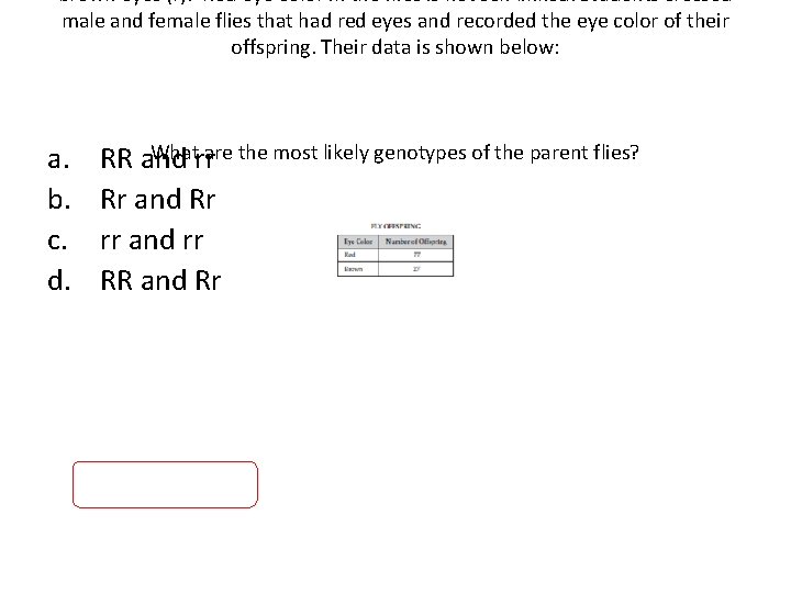 brown eyes (r). Red eye color in the flies is not sex-linked. Students crossed