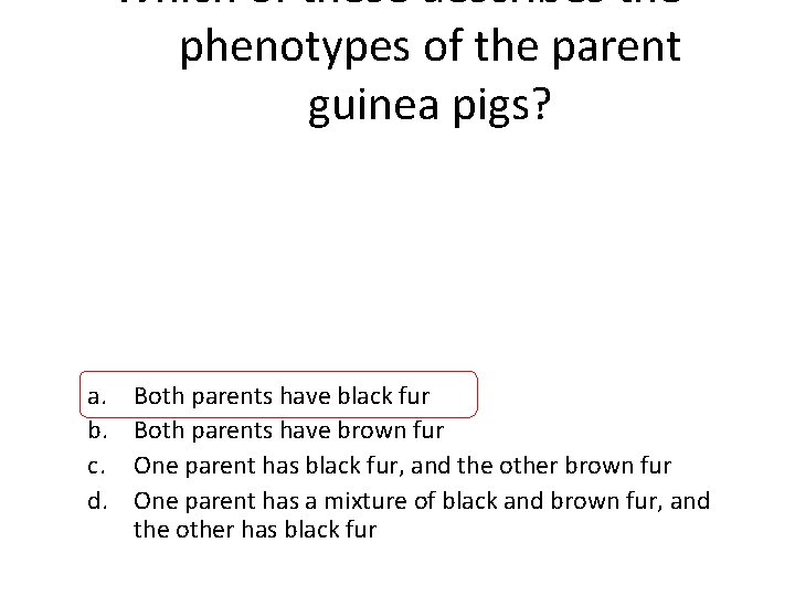 Which of these describes the phenotypes of the parent guinea pigs? a. b. c.