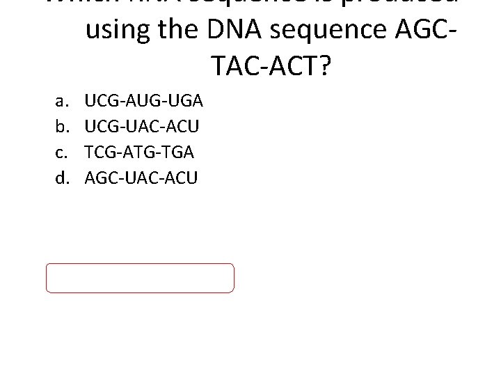 Which RNA sequence is produced using the DNA sequence AGCTAC-ACT? a. b. c. d.