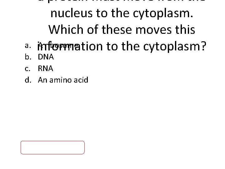 a protein must move from the nucleus to the cytoplasm. Which of these moves