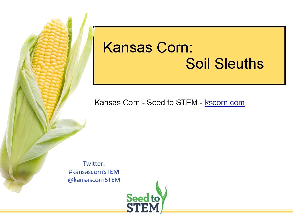 Kansas Corn: Soil Sleuths Kansas Corn - Seed to STEM - kscorn. com Twitter: