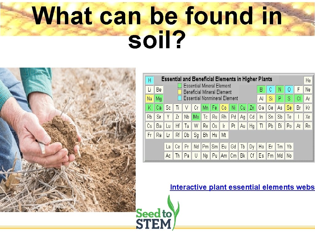 What can be found in soil? Interactive plant essential elements websi 
