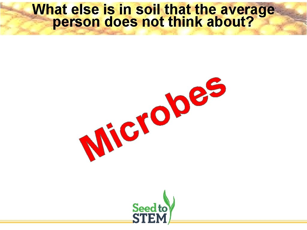 What else is in soil that the average person does not think about? i