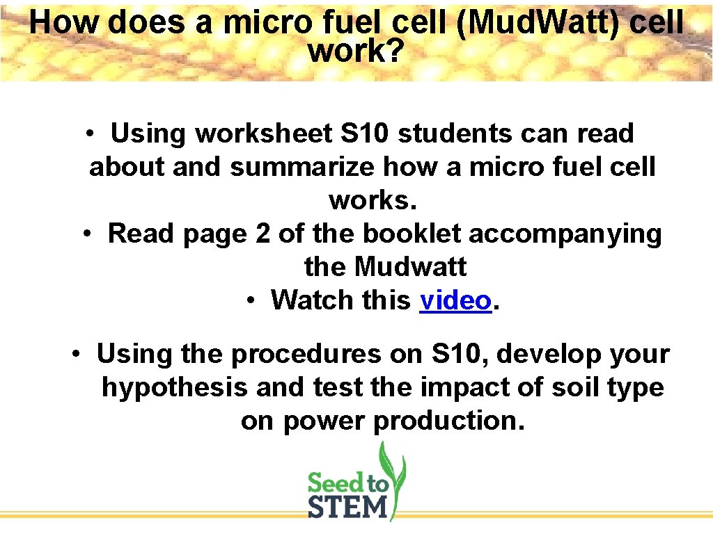 How does a micro fuel cell (Mud. Watt) cell work? • Using worksheet S