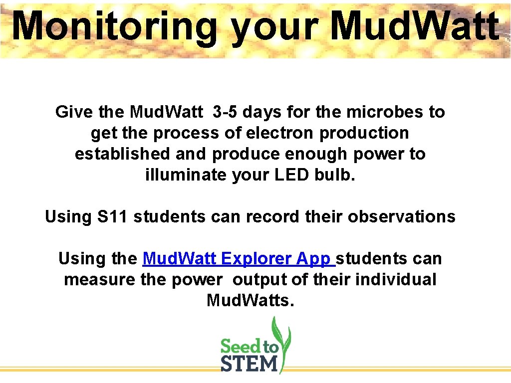 Monitoring your Mud. Watt Give the Mud. Watt 3 -5 days for the microbes