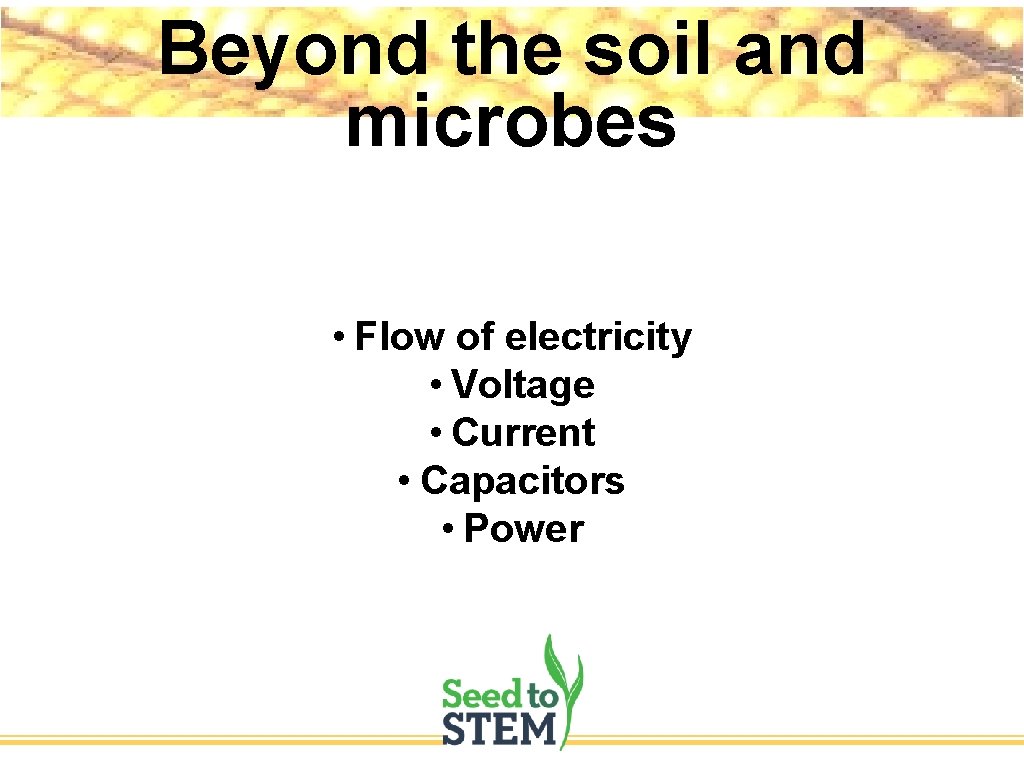 Beyond the soil and microbes • Flow of electricity • Voltage • Current •