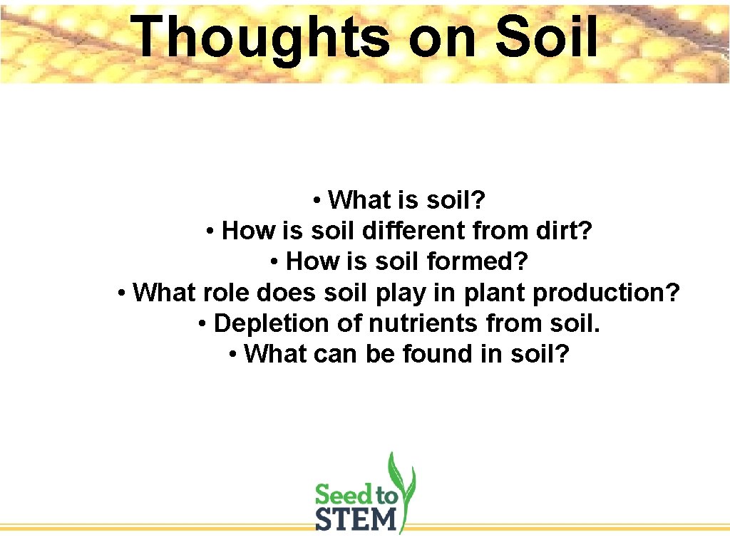 Thoughts on Soil • What is soil? • How is soil different from dirt?