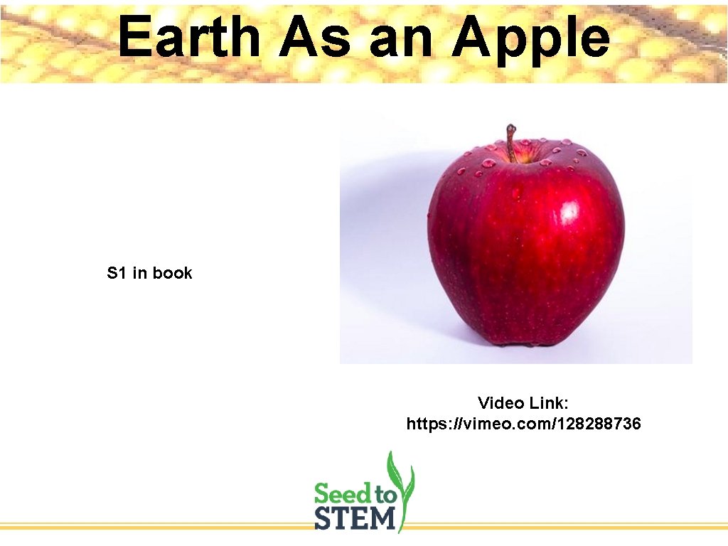 Earth As an Apple S 1 in book Video Link: https: //vimeo. com/128288736 