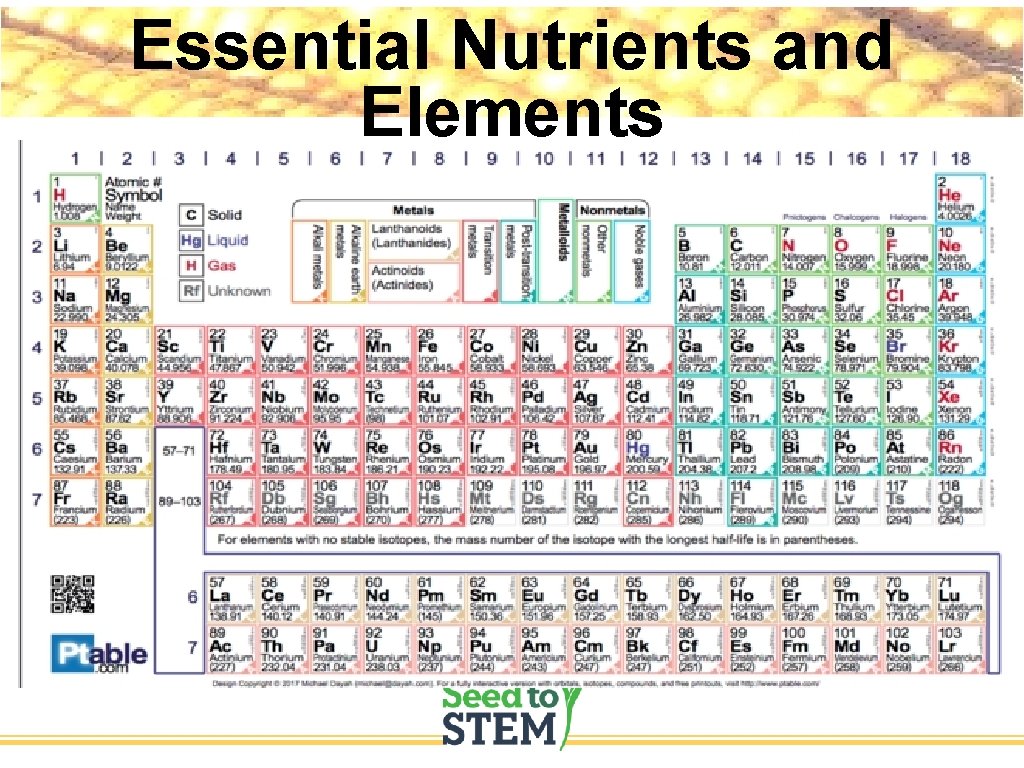Essential Nutrients and Elements 