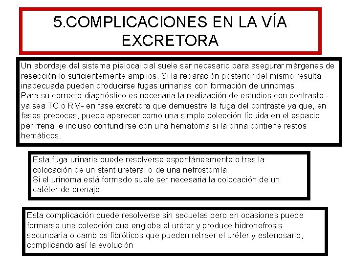 5. COMPLICACIONES EN LA VÍA EXCRETORA Un abordaje del sistema pielocalicial suele ser necesario