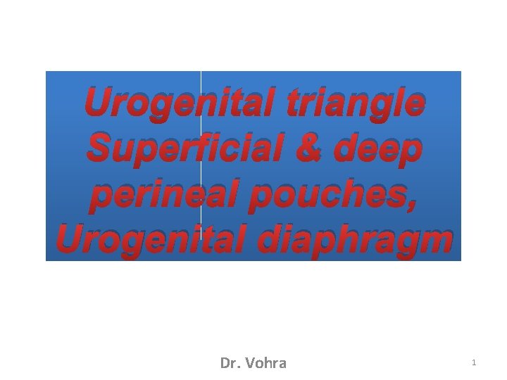 Urogenital triangle Superficial & deep perineal pouches, Urogenital diaphragm Dr. Vohra 1 