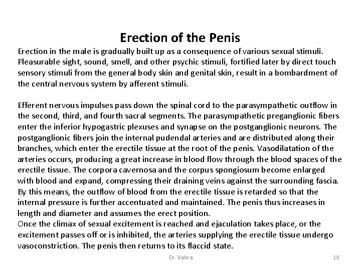 Erection of the Penis Erection in the male is gradually built up as a