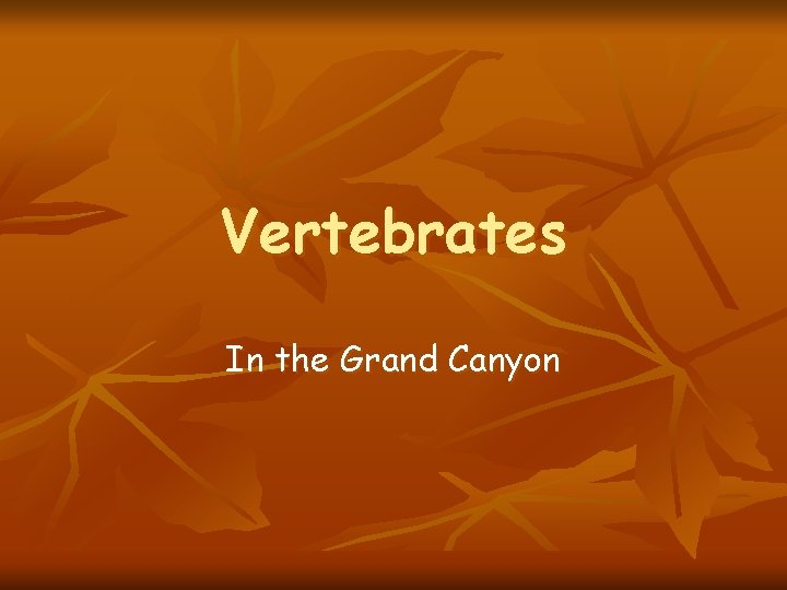 Vertebrates In the Grand Canyon 