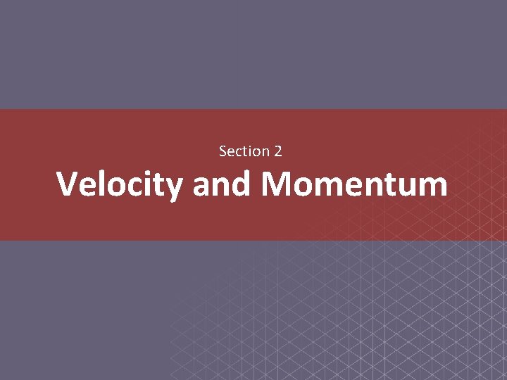 Section 2 Velocity and Momentum 