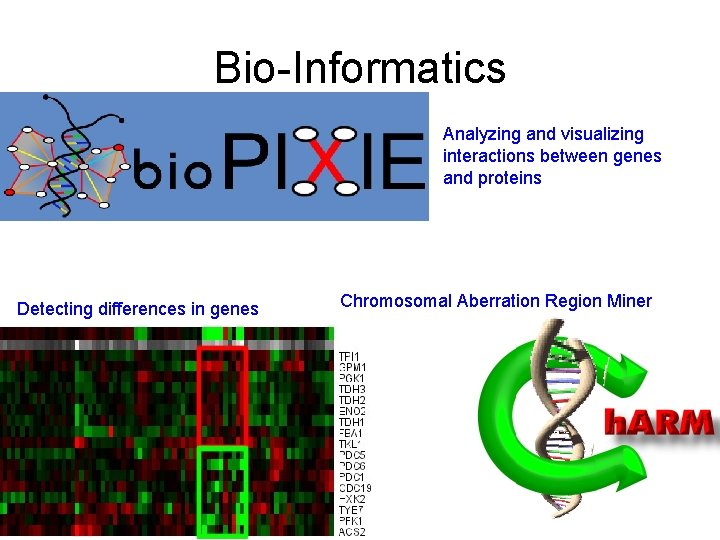 Bio-Informatics Analyzing and visualizing interactions between genes and proteins Detecting differences in genes Chromosomal