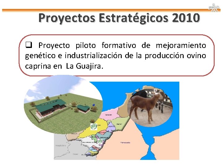Proyectos Estratégicos 2010 q Proyecto piloto formativo de mejoramiento genético e industrialización de la