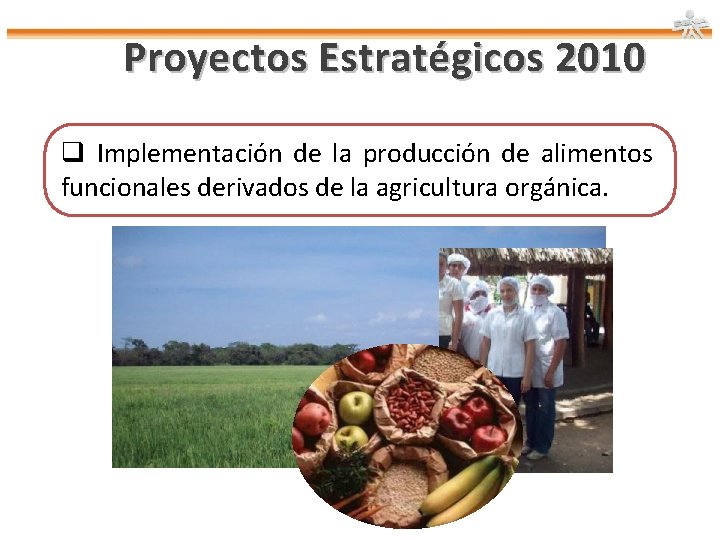 Proyectos Estratégicos 2010 q Implementación de la producción de alimentos funcionales derivados de la