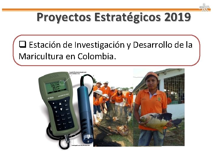 Proyectos Estratégicos 2019 q Estación de Investigación y Desarrollo de la Maricultura en Colombia.