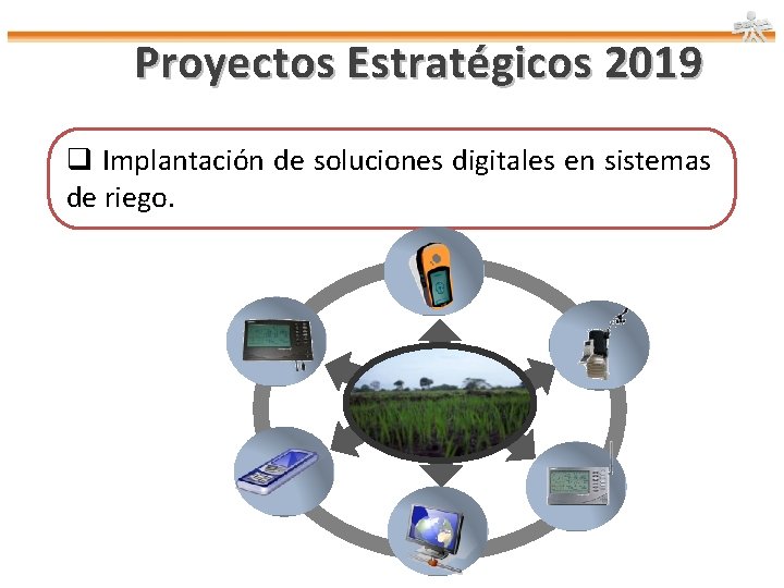 Proyectos Estratégicos 2019 q Implantación de soluciones digitales en sistemas de riego. 