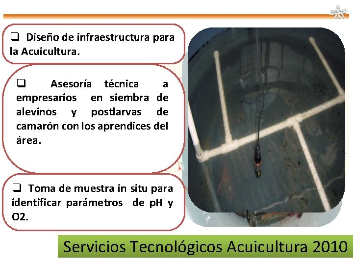 q Diseño de infraestructura para la Acuicultura. q Asesoría técnica a empresarios en siembra