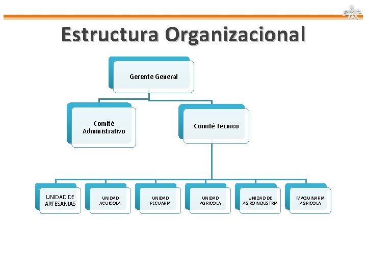 Estructura Organizacional Gerente General Comité Administrativo UNIDAD DE ARTESANIAS UNIDAD ACUICOLA Comité Técnico UNIDAD