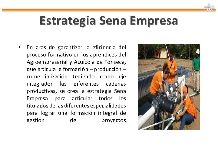 Estrategia Sena Empresa • En aras de garantizar la eficiencia del proceso formativo en