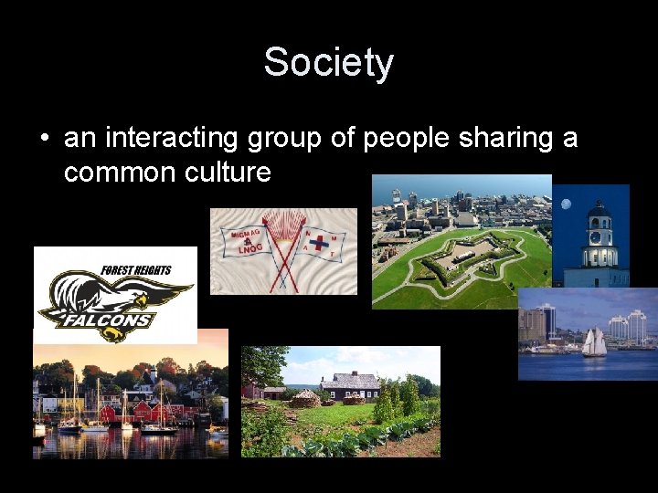 Society • an interacting group of people sharing a common culture 