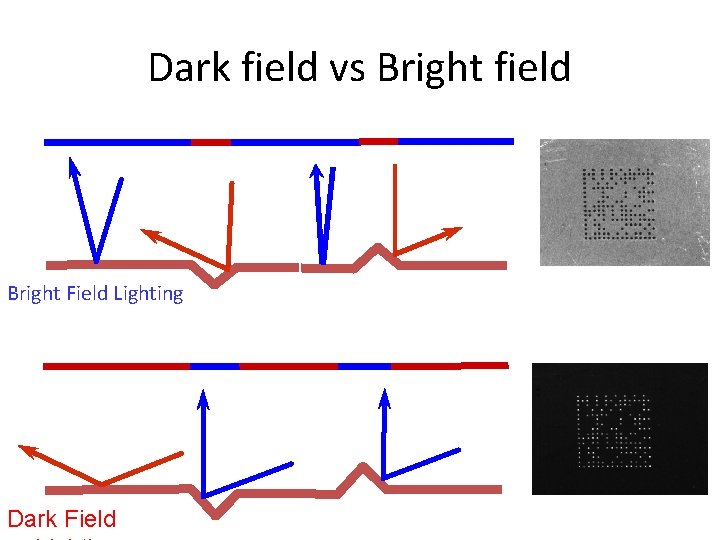 Dark field vs Bright field Bright Field Lighting Dark Field 