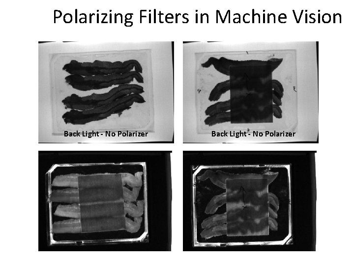 Polarizing Filters in Machine Vision Back Light - No Polarizer Back Light - Crossed