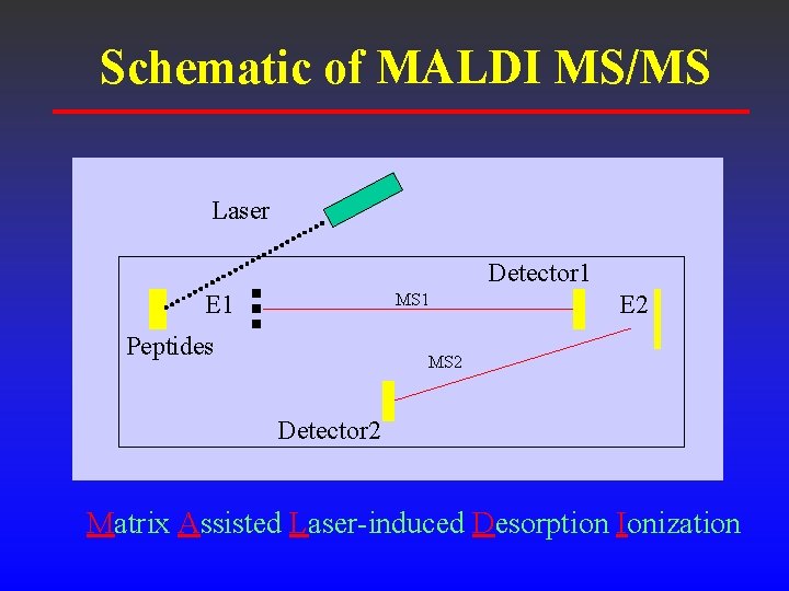 A New Strategy of Protein Identification in Proteomics