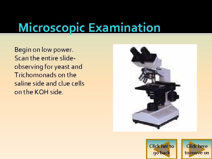 Microscopic Examination Begin on low power. Scan the entire slideobserving for yeast and Trichomonads