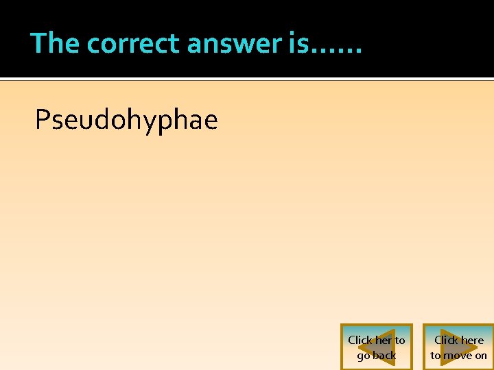 The correct answer is…… Pseudohyphae Click her to go back Click here to move