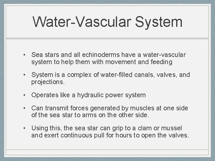 Water-Vascular System • Sea stars and all echinoderms have a water-vascular system to help