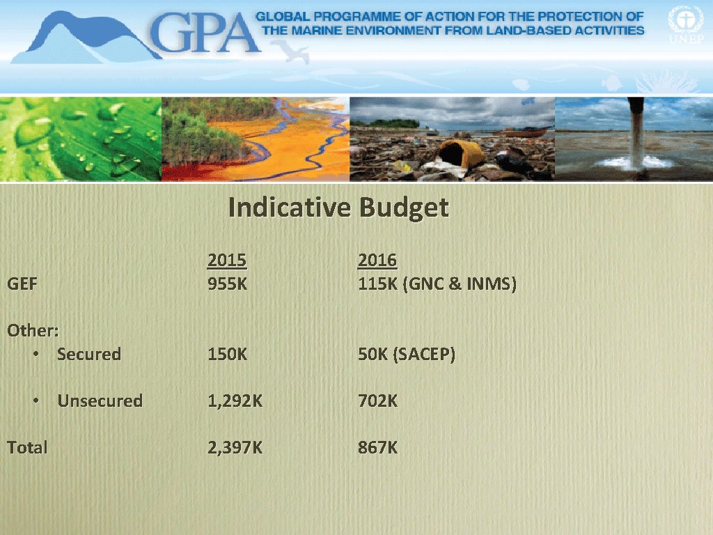 Indicative Budget GEF 2015 955 K 2016 115 K (GNC & INMS) Other: •