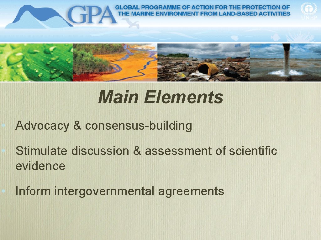 Main Elements • Advocacy & consensus-building • Stimulate discussion & assessment of scientific evidence