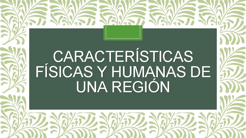 CARACTERÍSTICAS FÍSICAS Y HUMANAS DE UNA REGIÓN 