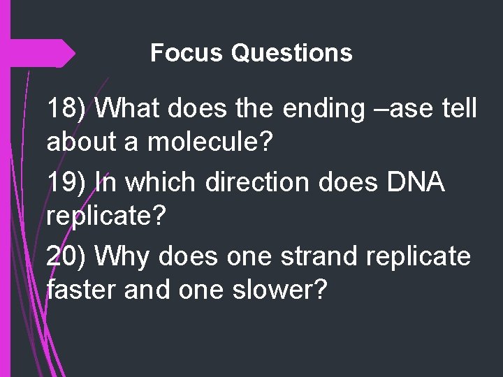 Focus Questions 18) What does the ending –ase tell about a molecule? 19) In