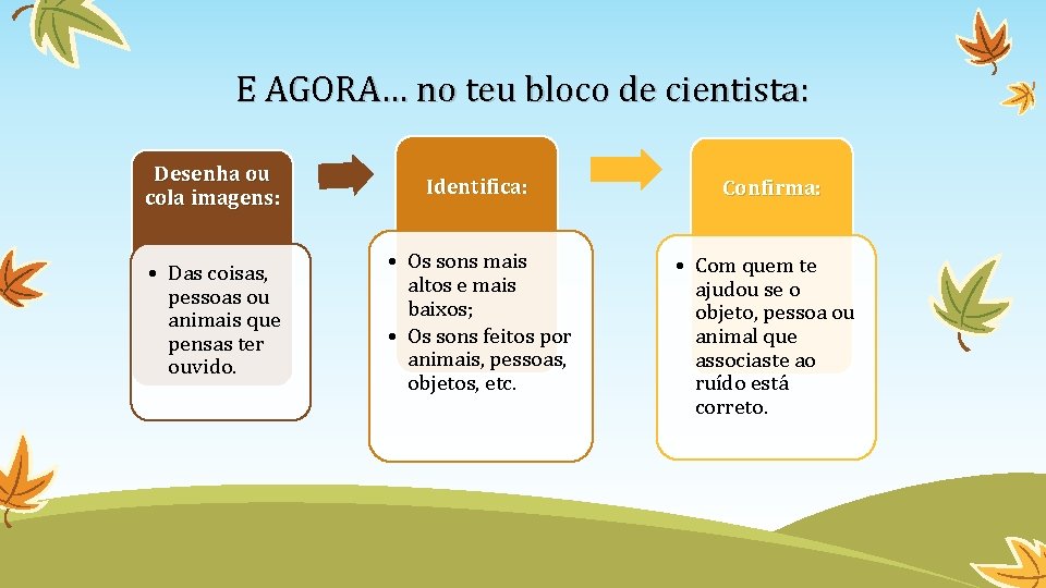 E AGORA… no teu bloco de cientista: Desenha ou cola imagens: Identifica: • Das