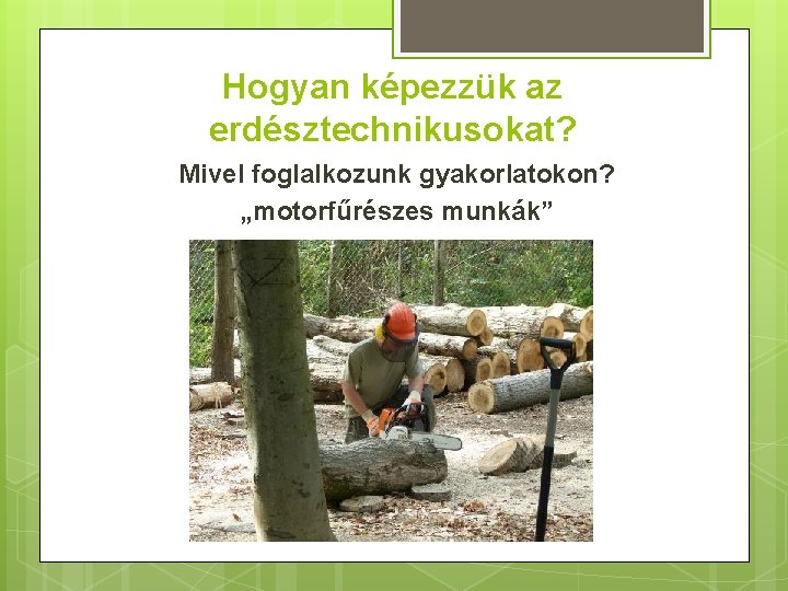 Hogyan képezzük az erdésztechnikusokat? Mivel foglalkozunk gyakorlatokon? „motorfűrészes munkák” 