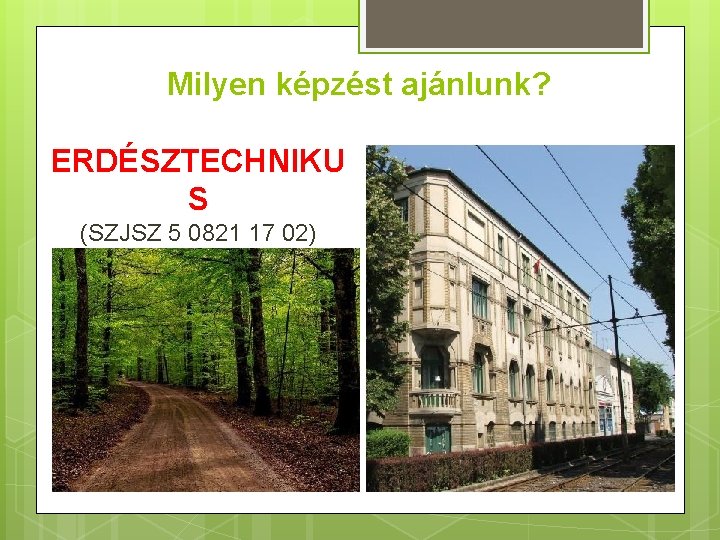 Milyen képzést ajánlunk? ERDÉSZTECHNIKU S (SZJSZ 5 0821 17 02) képzés 