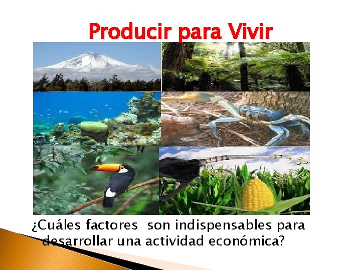 Producir para Vivir ¿Cuáles factores son indispensables para desarrollar una actividad económica? 