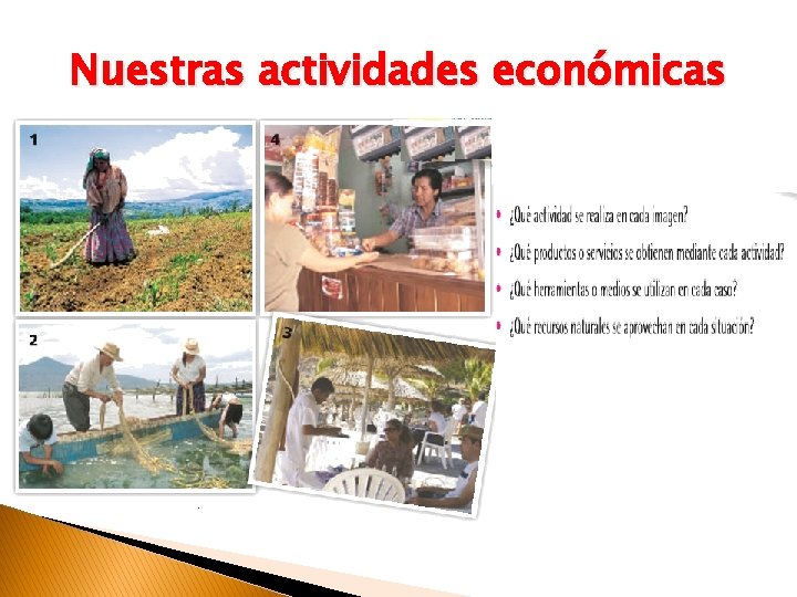 Nuestras actividades económicas 