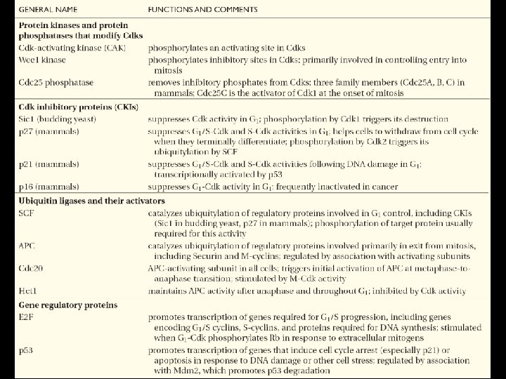  • Tableau résumant les principales protéines régulatrices du cycle cellulaire Table 17 2