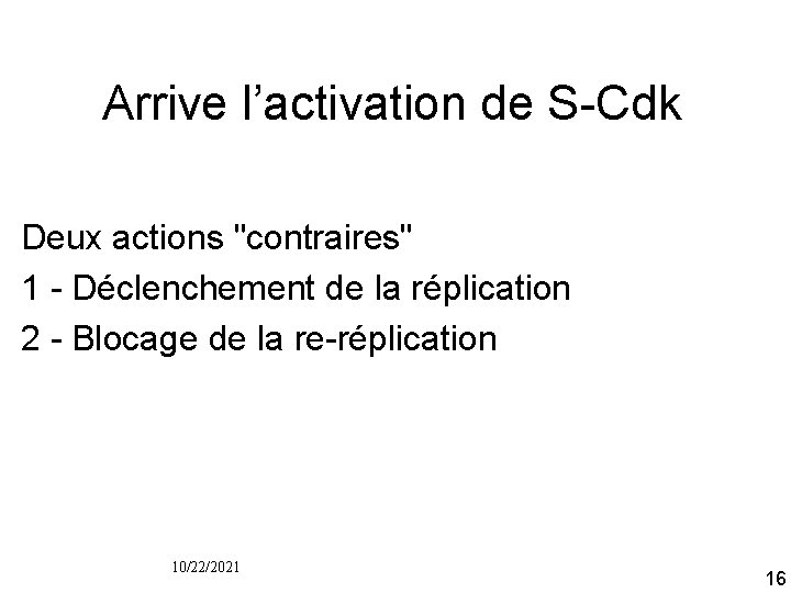 Arrive l’activation de S Cdk Deux actions "contraires" 1 Déclenchement de la réplication 2