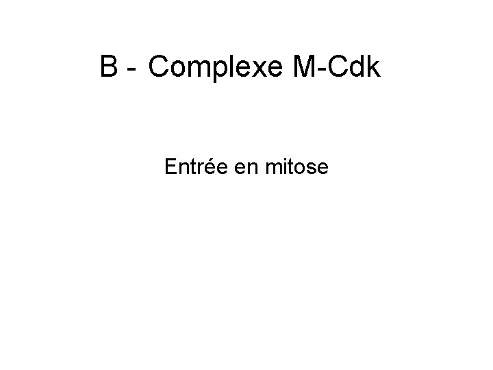 B Complexe M Cdk Entrée en mitose 