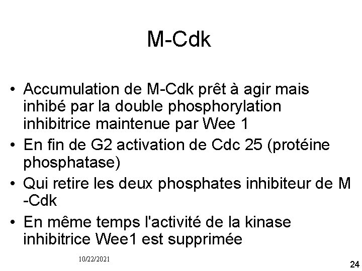 M Cdk • Accumulation de M Cdk prêt à agir mais inhibé par la