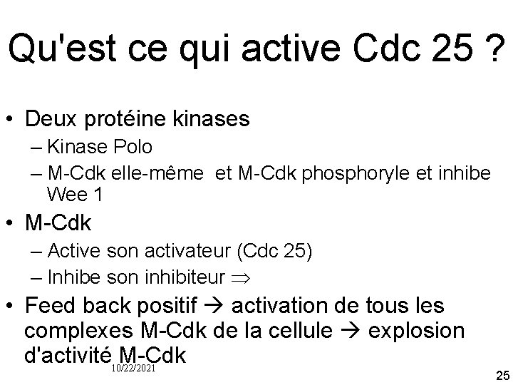 Qu'est ce qui active Cdc 25 ? • Deux protéine kinases – Kinase Polo