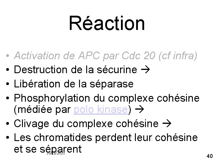Réaction • • Activation de APC par Cdc 20 (cf infra) Destruction de la