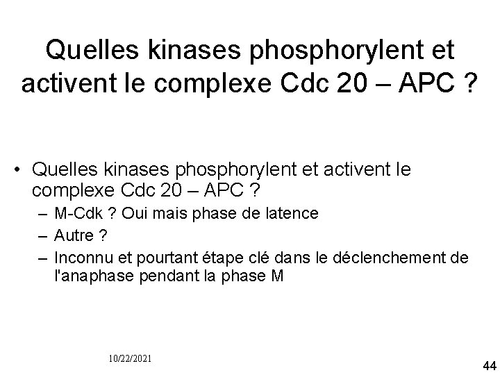 Quelles kinases phosphorylent et activent le complexe Cdc 20 – APC ? • Quelles